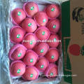 /msite/products/detail/productid/54855474/id/542998.html